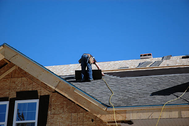 Best Roof Gutter Cleaning  in Dover Beaches South, NJ