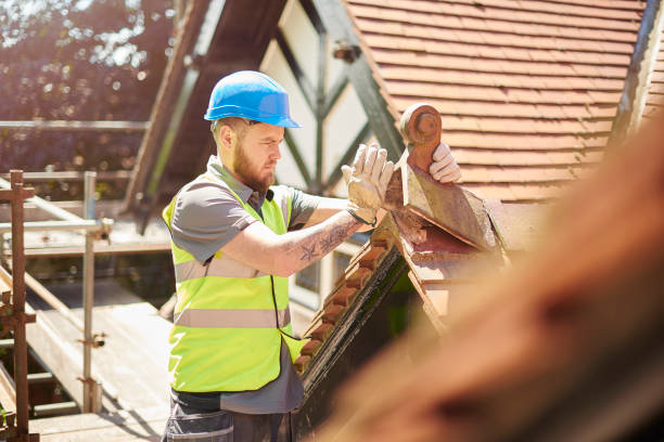 Best Roof Maintenance Services  in Dover Beaches South, NJ